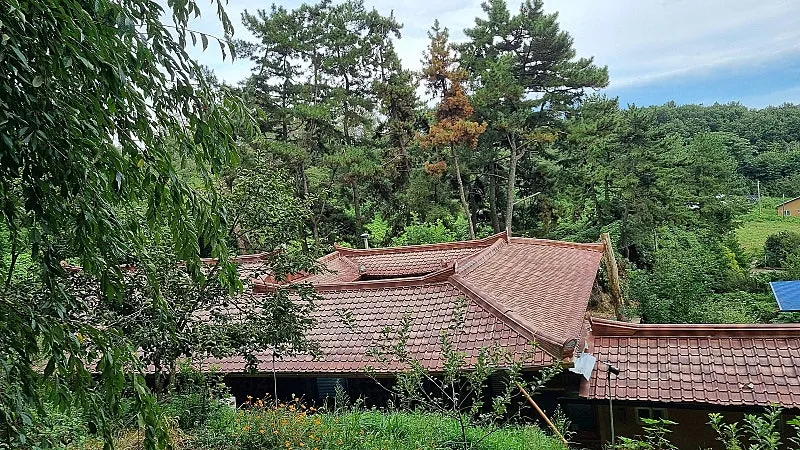 Country House for Sale in Bongnam-ri, Maseo-myeon, Seocheon-gun, Chungnam: Second Home in Nature, Ultra-Urgent Sale photo 8