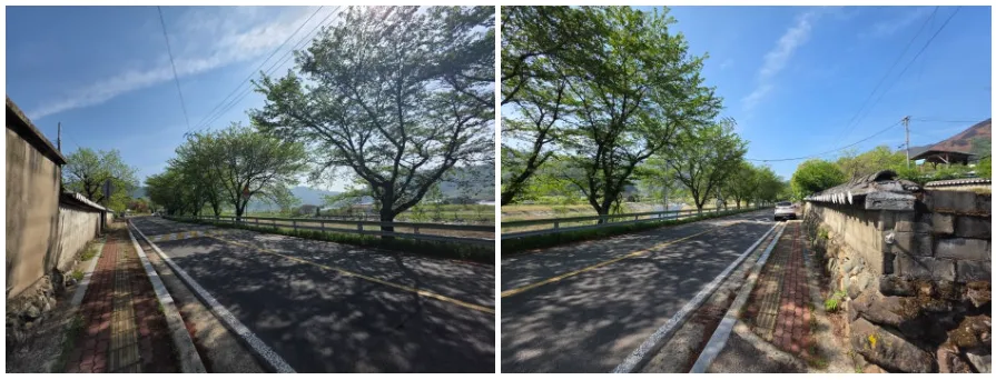 [급매] 경남 산청 시천면 원리 덕천강 조망 시골집 매매, 토지 184.2평 사진 3
