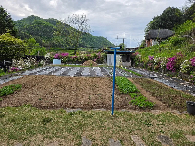 춘천 서면 덕두원리 시골집 매매, 넓은 텃밭과 개울이 있는 전원주택 사진 4
