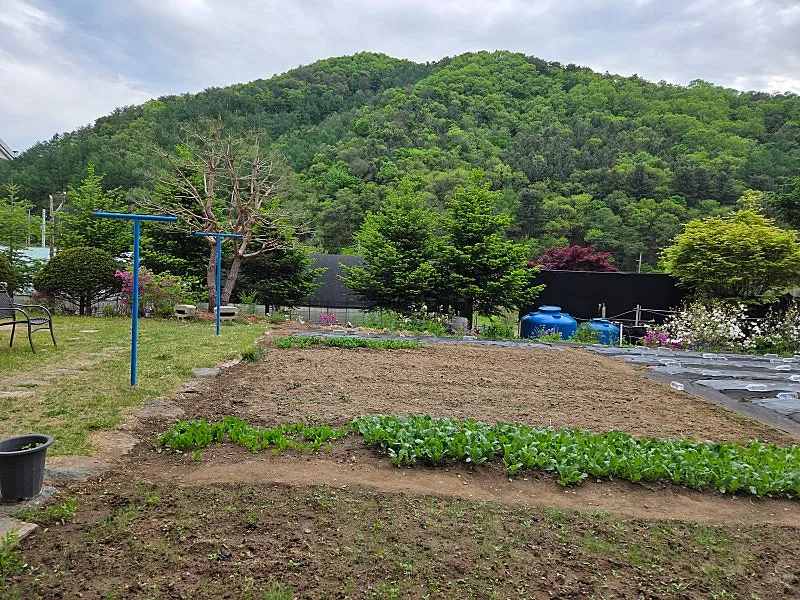 춘천 서면 덕두원리 시골집 매매, 넓은 텃밭과 개울이 있는 전원주택 사진 5