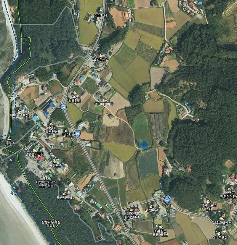 Land for Sale in Changgi-ri, Anmyeon-eup, Anmyeon-do, 3 Minutes on Foot from Sambong Beach photo 4