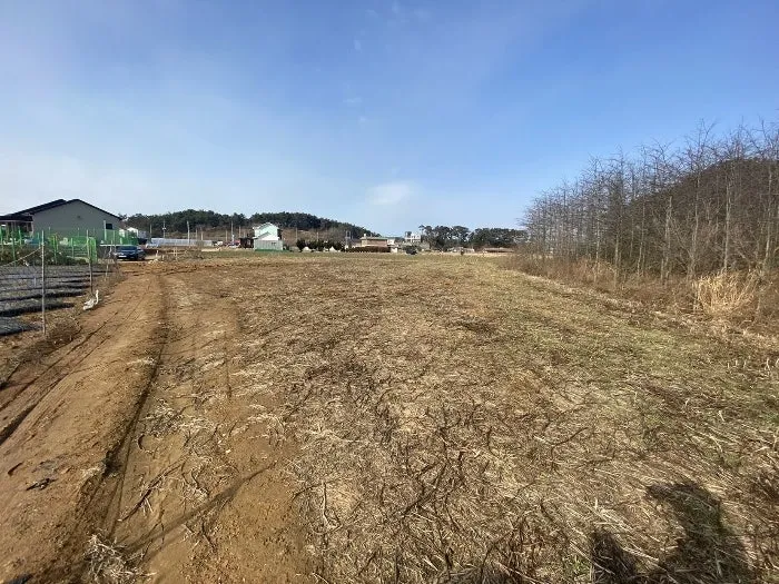 Land for Sale in Changgi-ri, Anmyeon-eup, Anmyeon-do, 3 Minutes on Foot from Sambong Beach photo 2