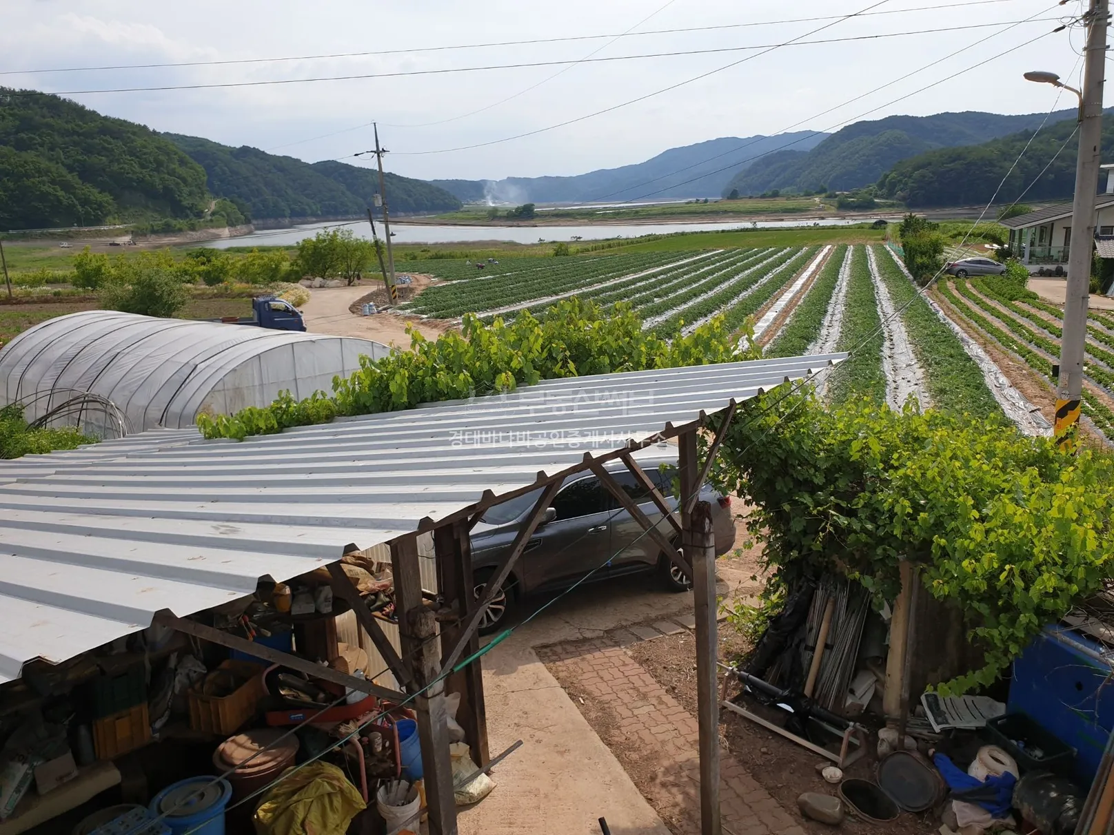 안동 도산면 원천리 리모델링 가능한 농가주택과 넓은 농지 사진 7