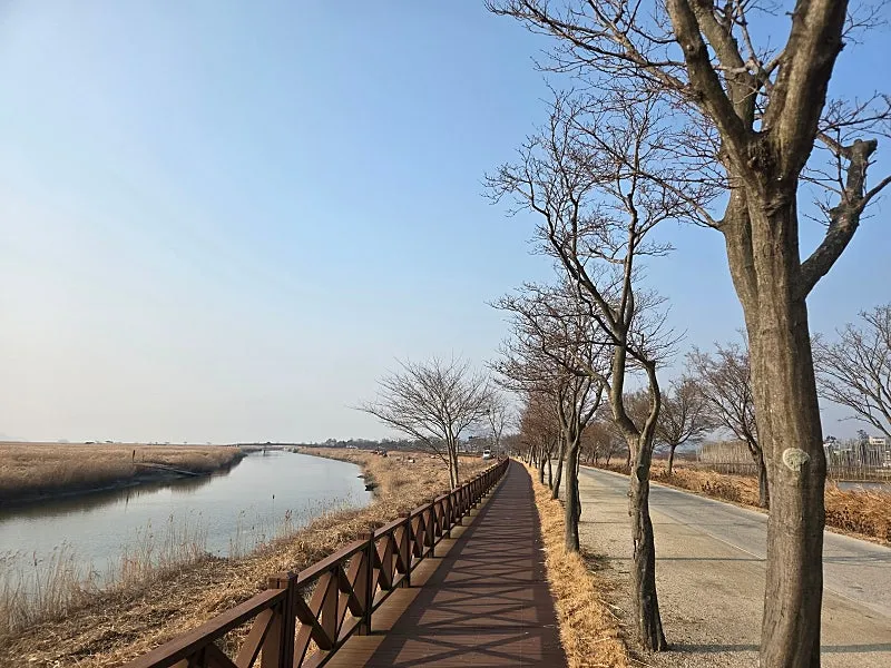 순천만습지 앞 햇살 좋은 시골집 매매 사진 9