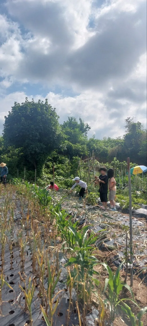 Earthen House for Sale in Bujeok-myeon, Nonsan, South Chungcheong Province, with a Vegetable Garden — 72 Million Won photo 3