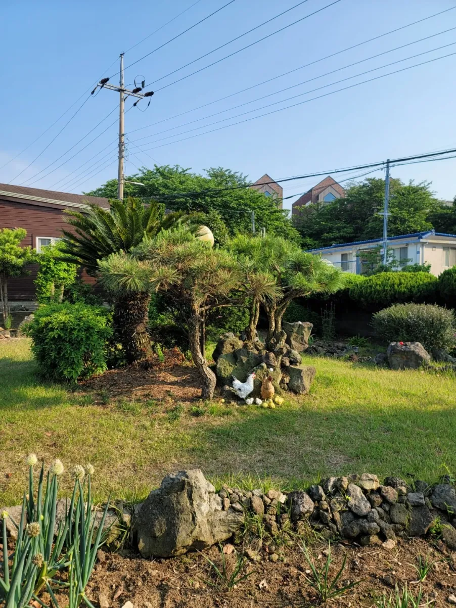 84㎡ Country House in Aewol-eup, Jeju, Direct Sale, Sale Price 1 Million Won · Annual Rent 10 Million / 19 Million Won photo 6