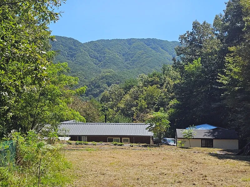 Rural Home for Sale in the Forest of Buhang-myeon, Gimcheon-si, Gyeongsangbuk-do photo 6