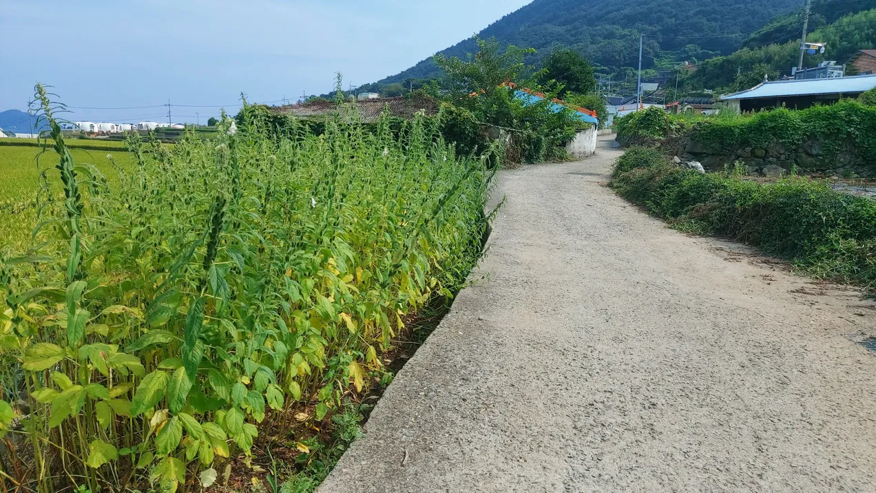Rural House for Sale in Seokgyo-ri, Nam-myeon, Namhae-gun photo 4