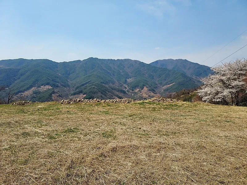 하동 화개면 지리산 자락 전망 좋은 전원주택·카페 부지 338평 사진 2