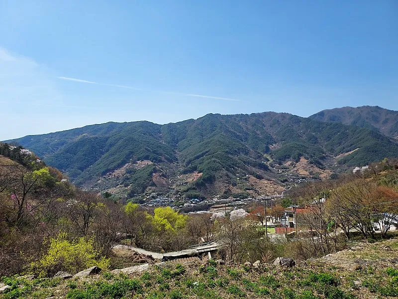 하동 화개면 지리산 자락 전망 좋은 전원주택·카페 부지 338평 사진 4
