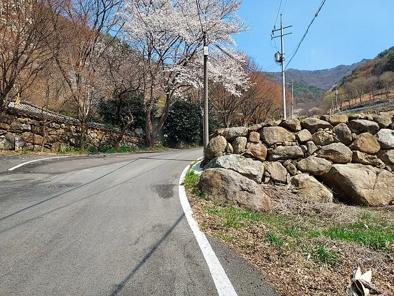 하동 화개면 지리산 자락 전망 좋은 전원주택·카페 부지 338평 사진 10