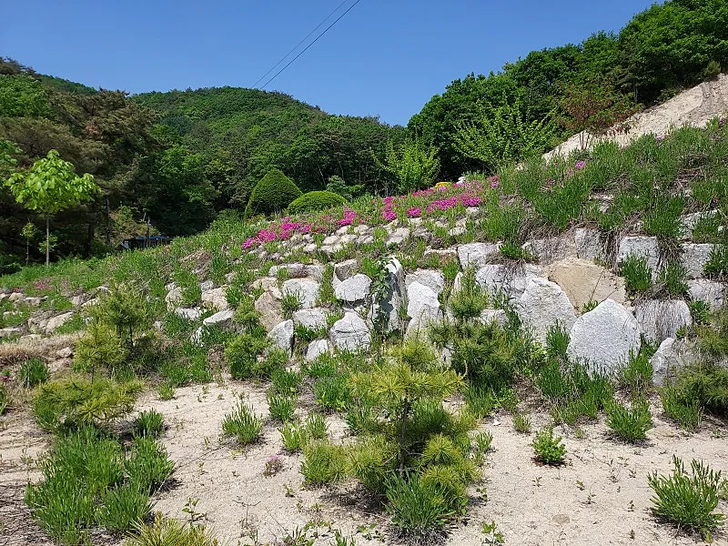250-Pyeong Mountain Village Land Adjoining a Forest in Yangpyeong-gun’s Yangdong-myeon, Suitable for a Stay-Type Shelter photo 2