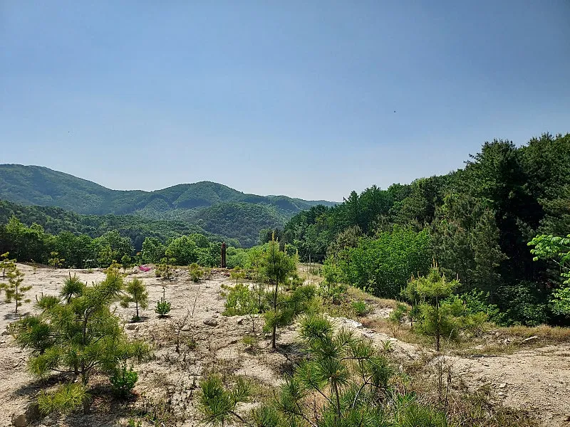 250-Pyeong Mountain Village Land Adjoining a Forest in Yangpyeong-gun’s Yangdong-myeon, Suitable for a Stay-Type Shelter photo 3