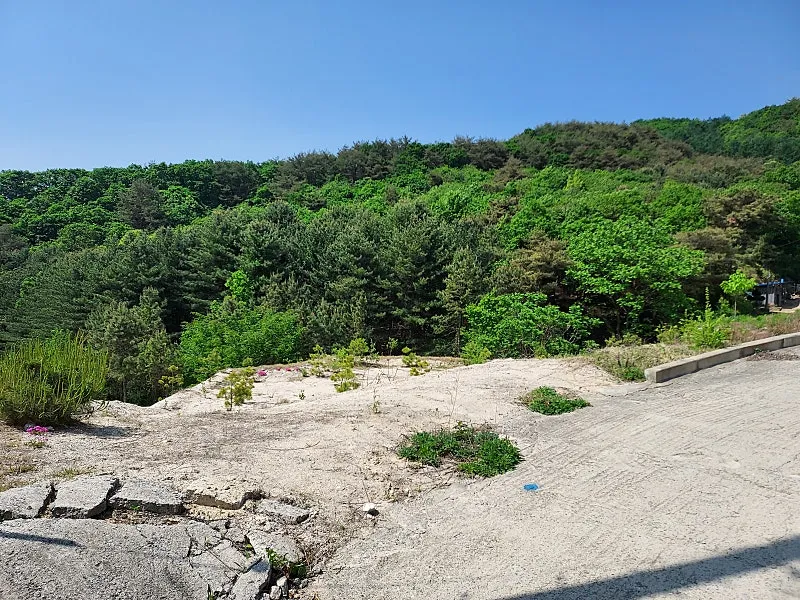 250-Pyeong Mountain Village Land Adjoining a Forest in Yangpyeong-gun’s Yangdong-myeon, Suitable for a Stay-Type Shelter photo 4