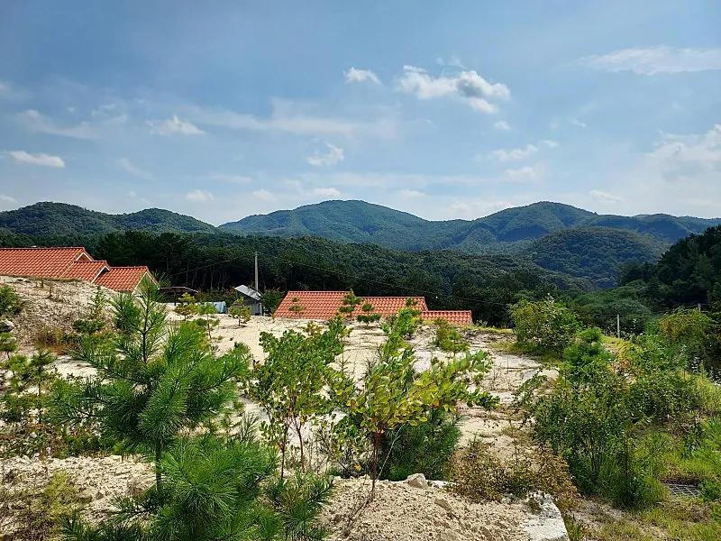 250-Pyeong Mountain Village Land Adjoining a Forest in Yangpyeong-gun’s Yangdong-myeon, Suitable for a Stay-Type Shelter photo 6