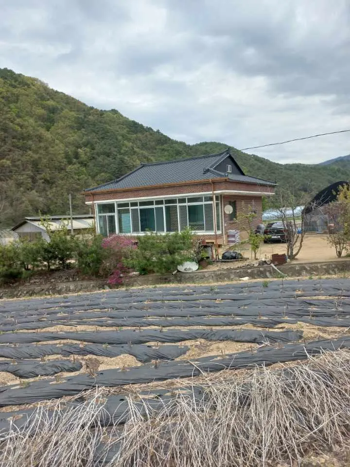 강원 인제군 기린면 농가주택과 넓은 토지 매매 사진 3