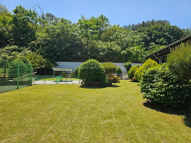 Urgent Sale: Detached Country House in Daeyang-dong, Mokpo photo 4