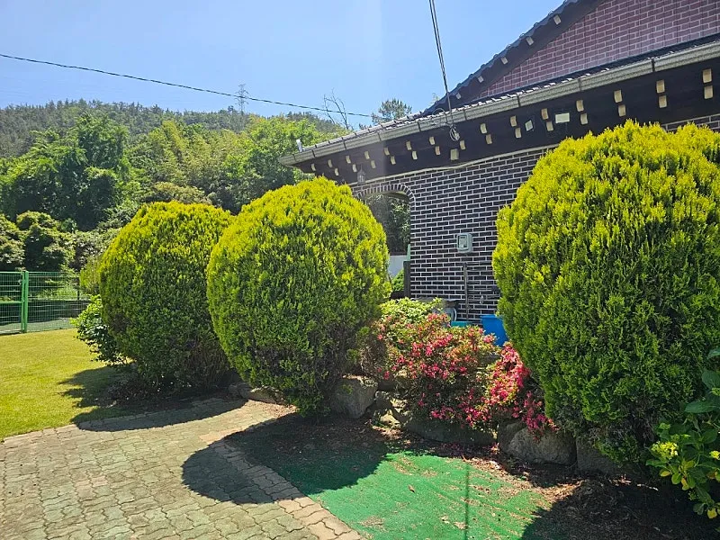 Urgent Sale: Detached Country House in Daeyang-dong, Mokpo photo 6
