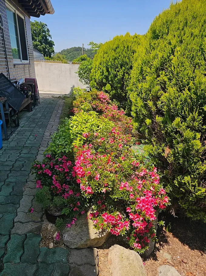 Urgent Sale: Detached Country House in Daeyang-dong, Mokpo photo 7