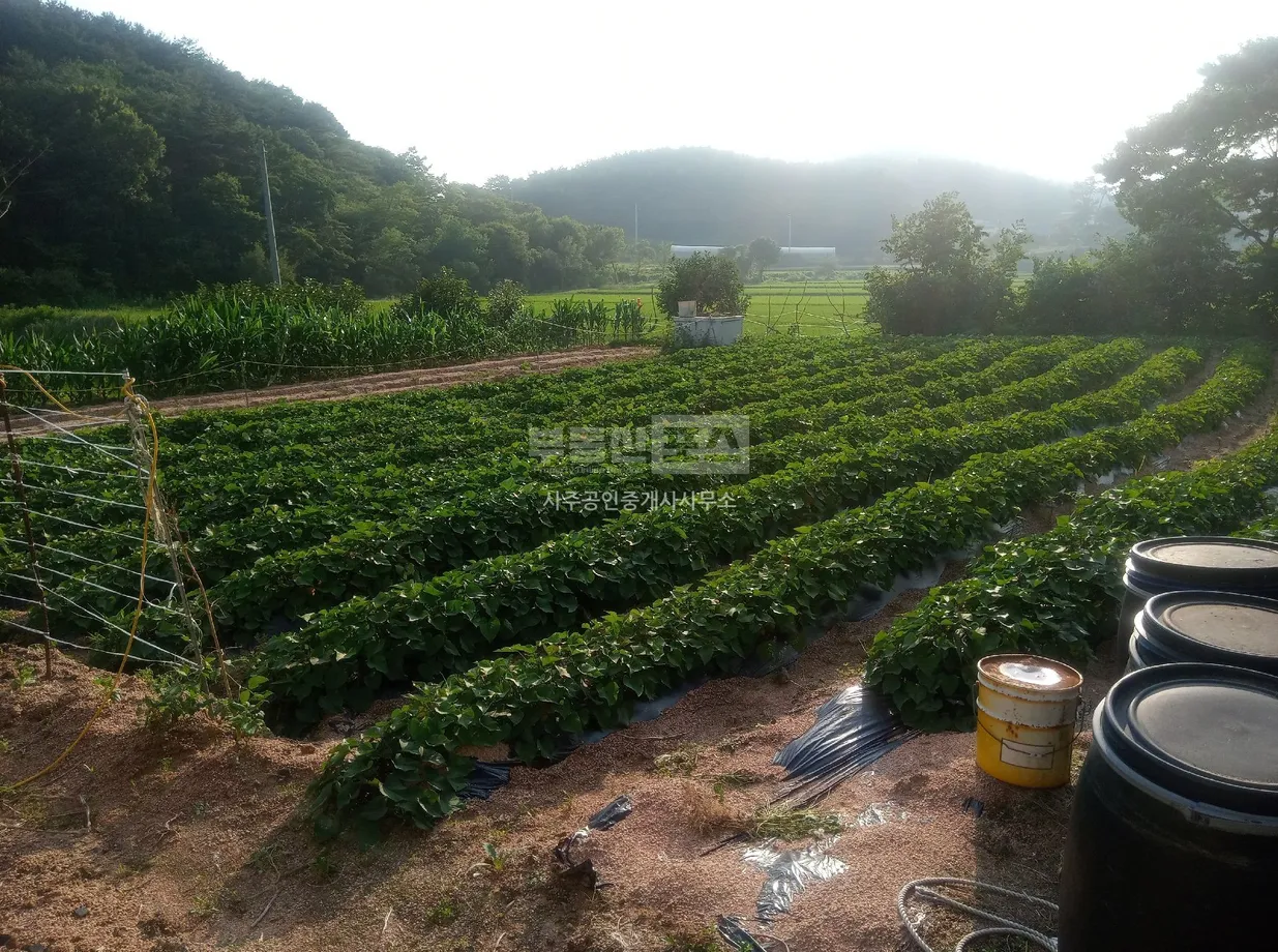 Country House and Land for Sale in Wonbuk-myeon, Taean photo 8