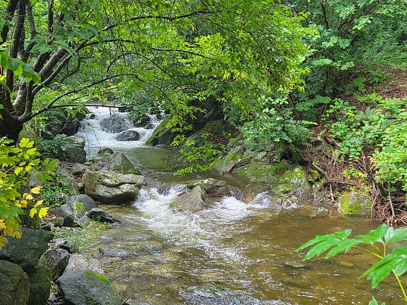 One-Room Monthly Rental in a Country House in Okcheon-myeon, Yangpyeong, Near a Valley photo 4