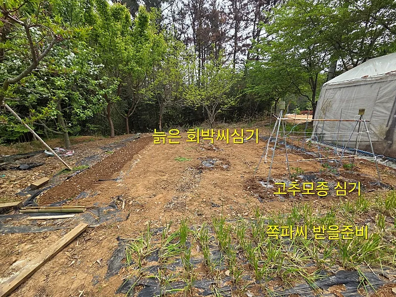 342-Pyeong Rural Land and Split-Level Second Home in Nam-myeon, Taean photo 5
