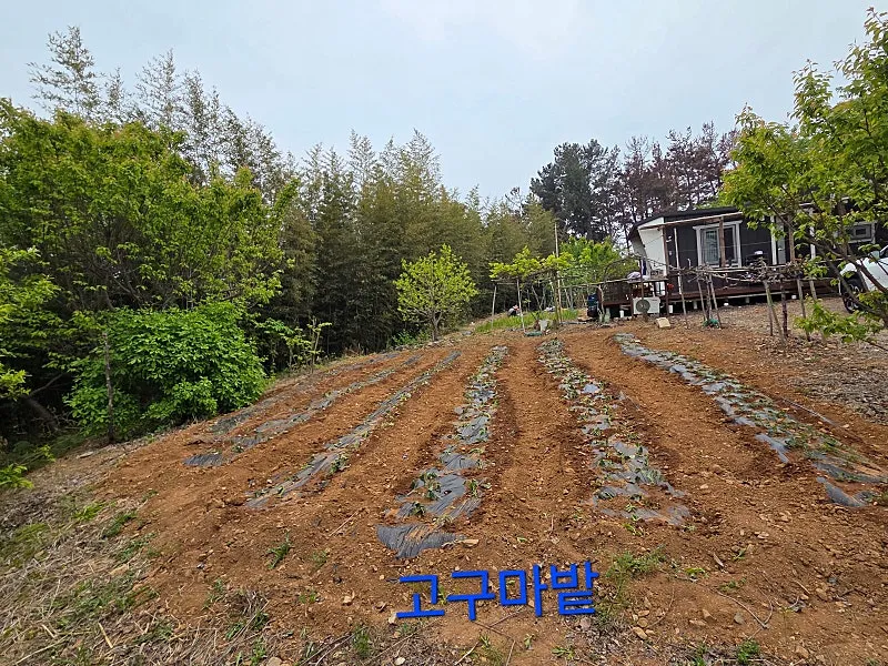 342-Pyeong Rural Land and Split-Level Second Home in Nam-myeon, Taean photo 3