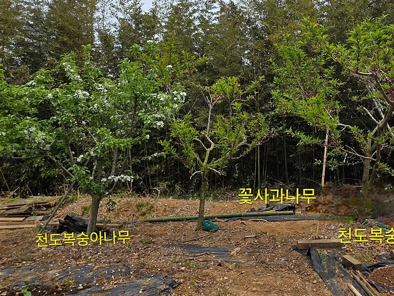 342-Pyeong Rural Land and Split-Level Second Home in Nam-myeon, Taean photo 4