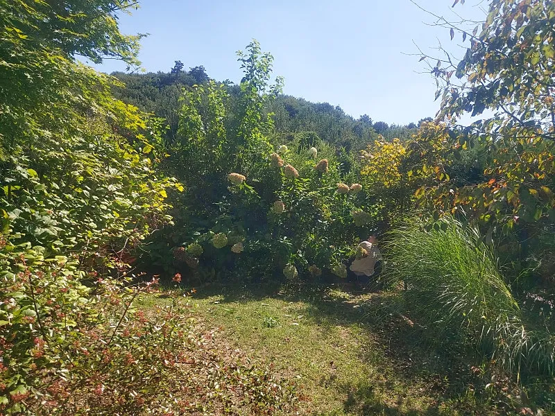 Country House for Sale in Angdeok-ri, Gaegun-myeon, Yangpyeong, Within a Residential Complex photo 7