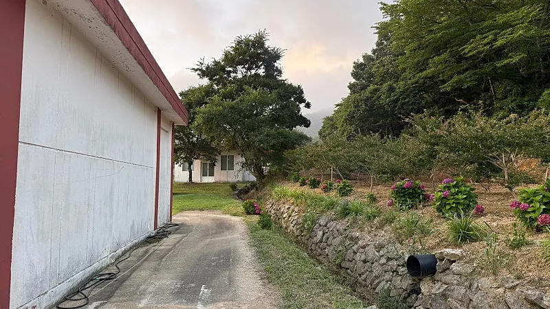 For Sale: Approximately 2,200-Pyeong Rural Property and Five Buildings in Jindo, South Jeolla Province photo 9