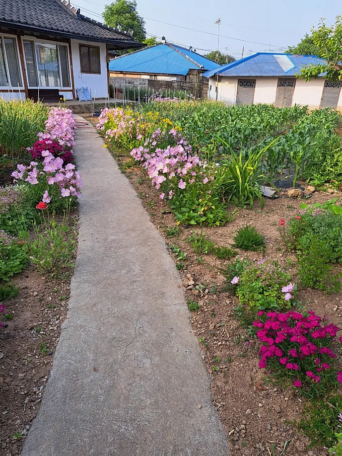 South-Facing Rural House for Sale in Heungdeok-myeon, Gochang, Jeonbuk photo 3