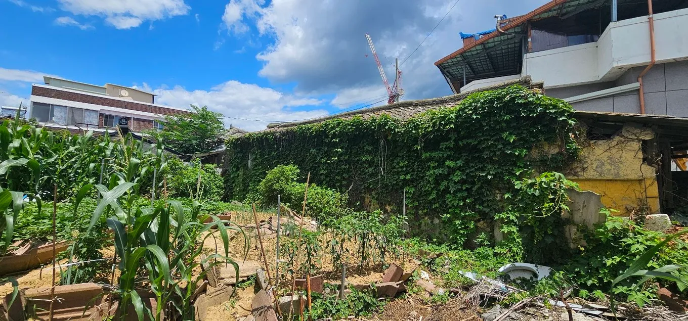 Inexpensive House for Sale Requiring Complete Renovation photo 4