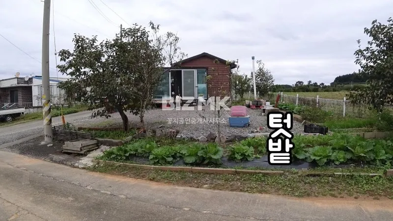 태안군 태안읍 산후리 소형 전원주택 매매, 썬룸과 텃밭·유실수 마당 사진 4