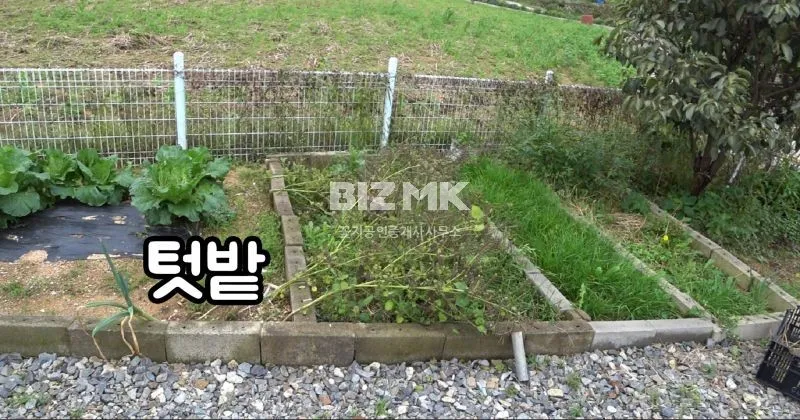 태안군 태안읍 산후리 소형 전원주택 매매, 썬룸과 텃밭·유실수 마당 사진 10