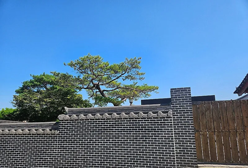 아산 장존동 한옥 전원주택 매매, 대지 260평·건평 43평 사진 3
