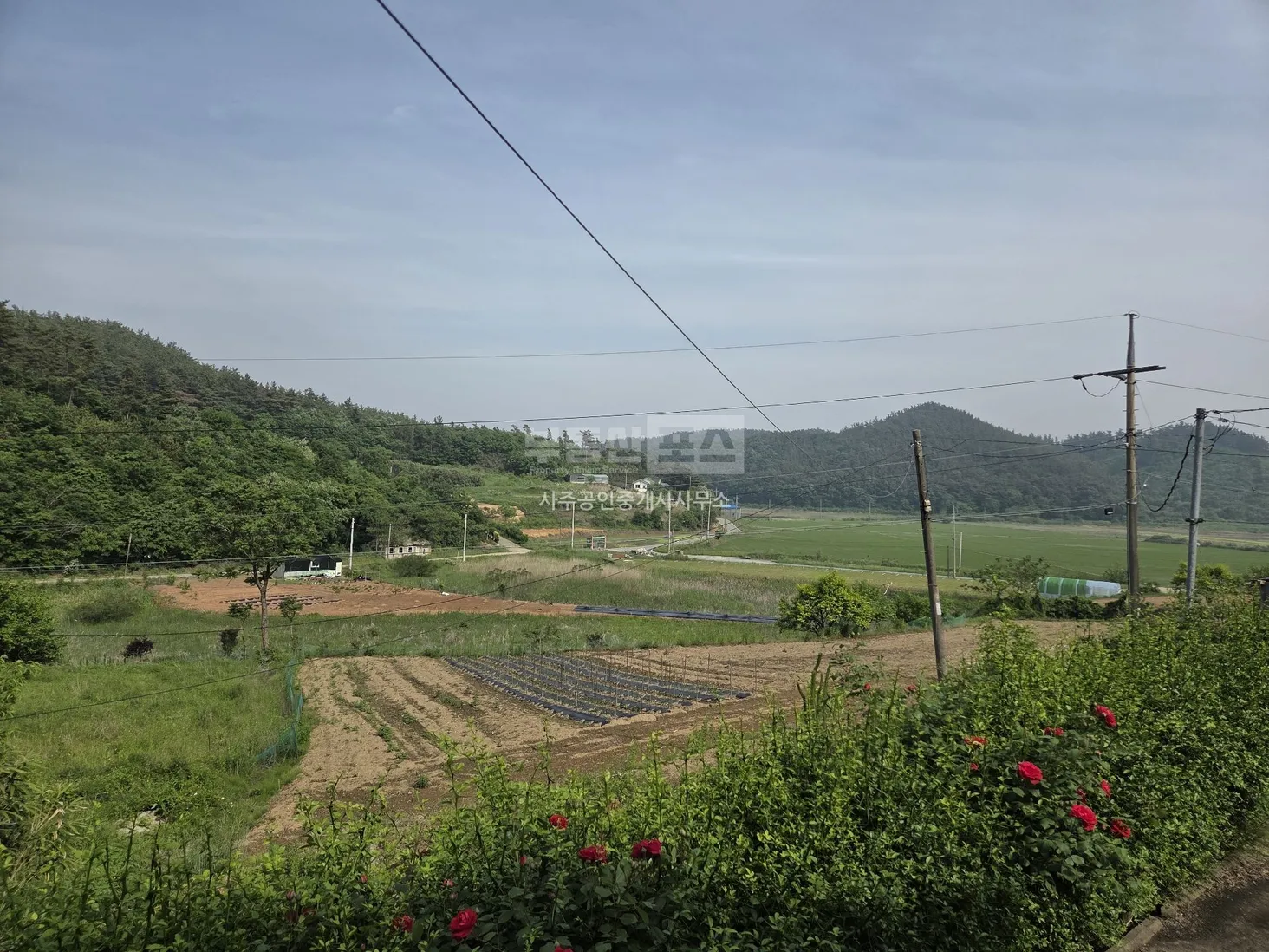 Sale of a Run-Down Farmhouse and Farmland in Donghae-ri, Wonbuk-myeon, Taean photo 7