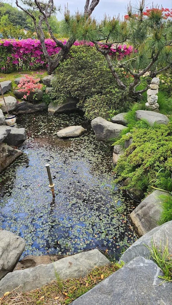 Country House for Sale in Dogo-myeon, Asan: A Relaxed Rural Lifestyle with Dogo Mountain and Dogo Reservoir photo 10