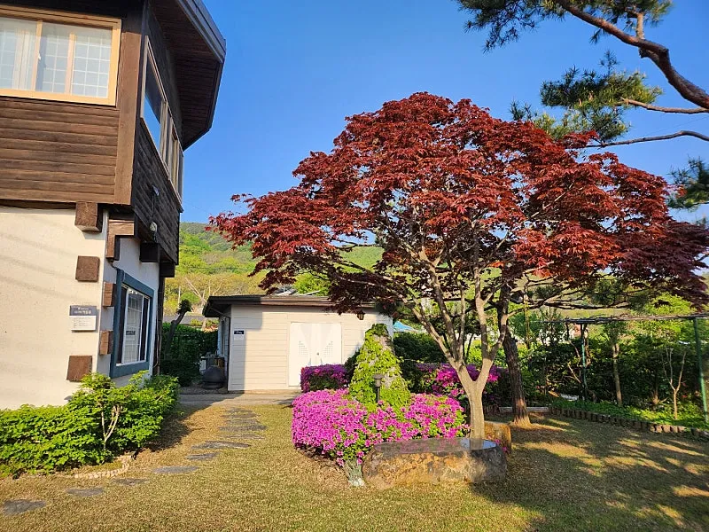 Country House for Sale in Dogo-myeon, Asan: A Relaxed Rural Lifestyle with Dogo Mountain and Dogo Reservoir photo 5