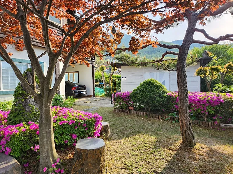 Country House for Sale in Dogo-myeon, Asan: A Relaxed Rural Lifestyle with Dogo Mountain and Dogo Reservoir photo 6