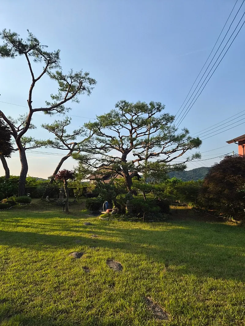 Country House for Sale in Dogo-myeon, Asan: A Relaxed Rural Lifestyle with Dogo Mountain and Dogo Reservoir photo 4
