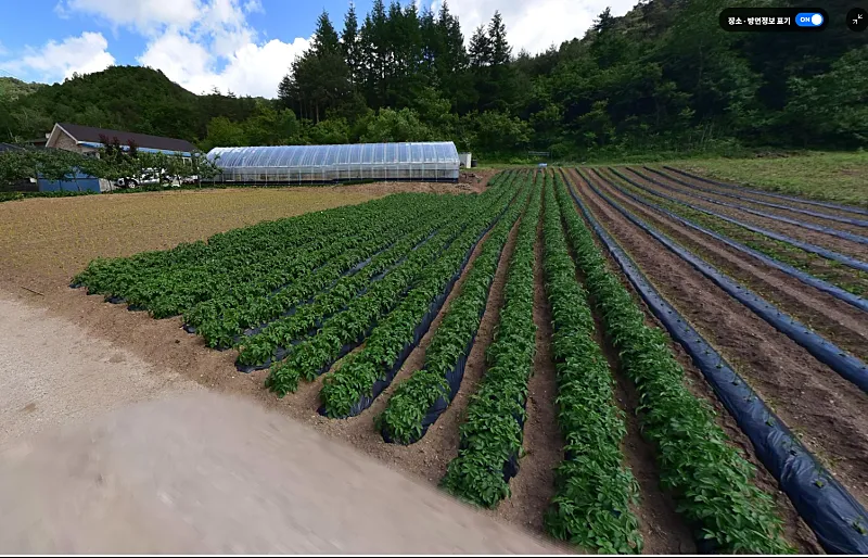 Country House and 1,032-Pyeong Field for Sale at an Elevation of 650 m in Imgye-myeon, Jeongseon photo 5