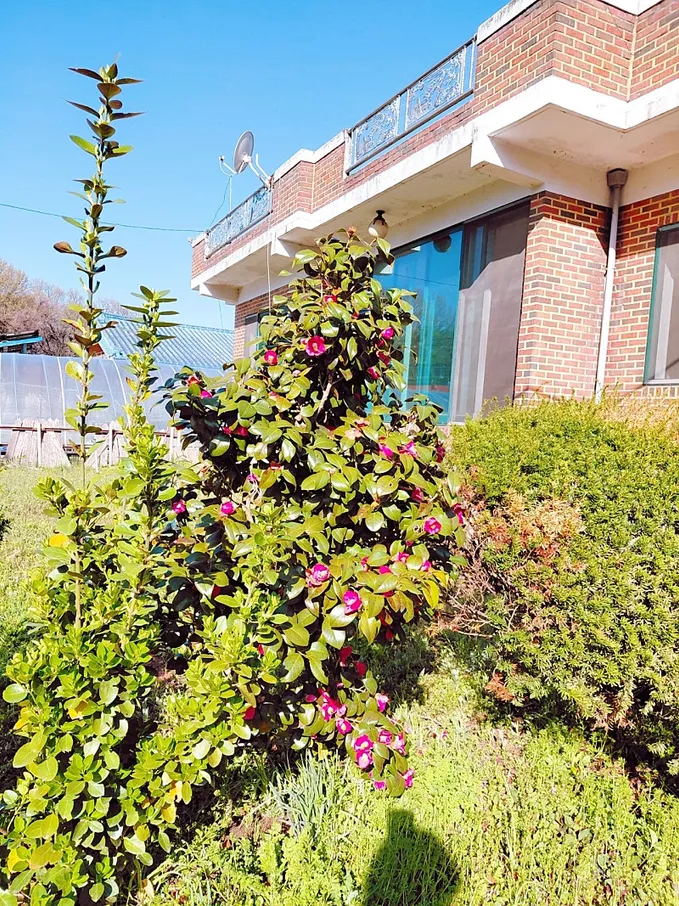 충남 논산 양촌면 거사리 시골집과 토지 매매 사진 5