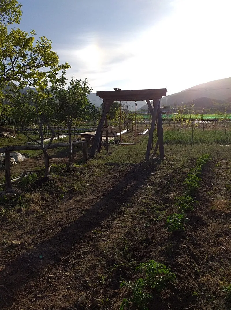[Urgent Sale] 103-Pyeong Country Home Site in Wachon-myeon, Gyeongsan, 30 Minutes from Daegu photo 3
