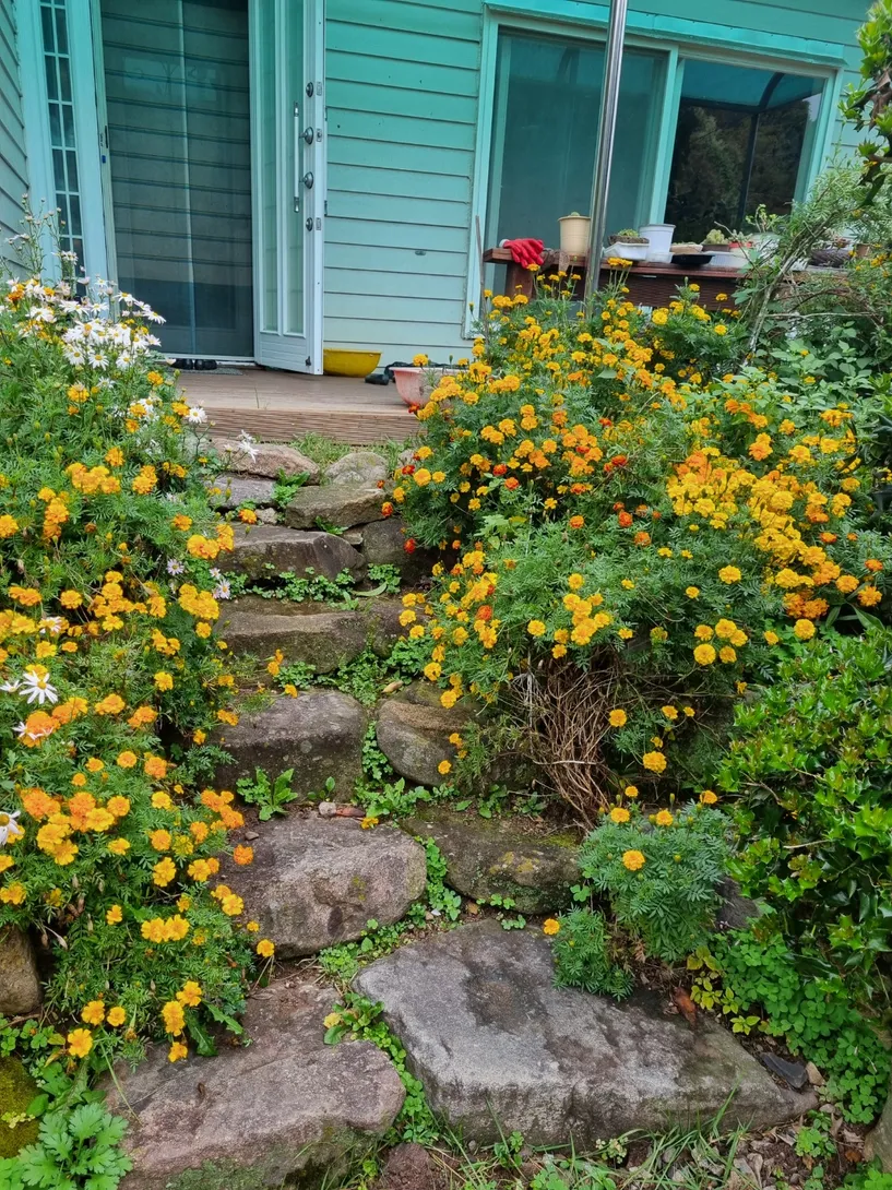 Well-Maintained Country House in Yongdae-ri, Damyang photo 3