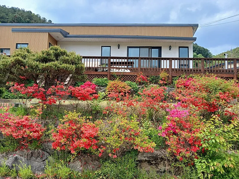 Urgent Sale: 230 million won, Country House Near a Natural Recreation Forest in Danwol-myeon, Yangpyeong photo 9