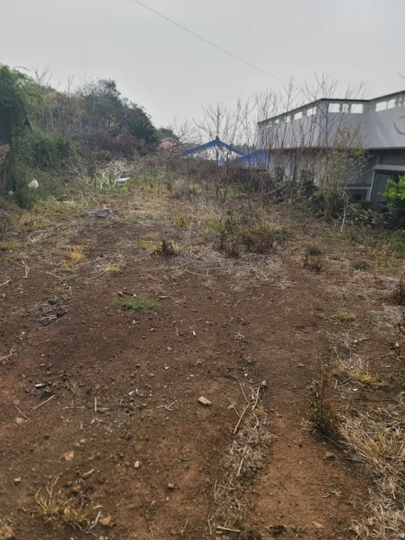 제주 서귀포시 대정읍 신도리 1층 시골집 매매 1억원 매물 사진
