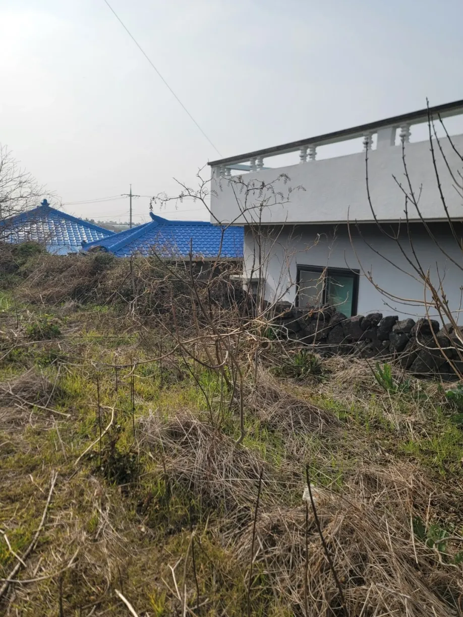 제주 서귀포시 대정읍 신도리 1층 시골집 매매 1억원 사진 4