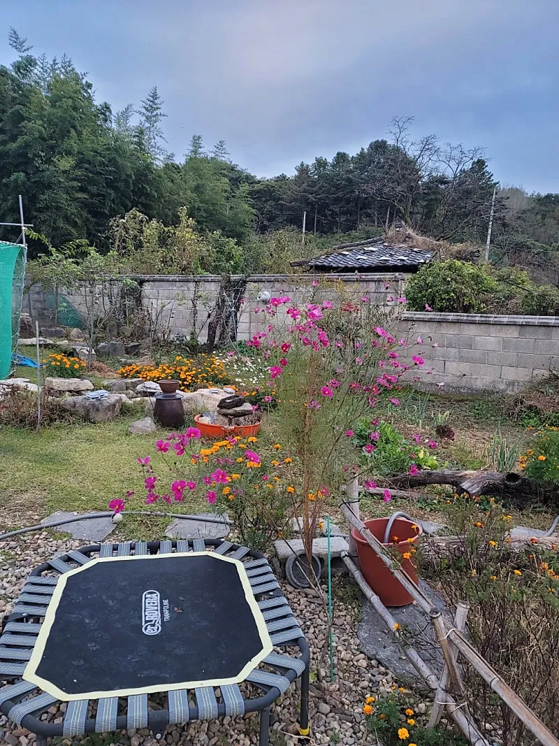 Sale of a Country House in Gakbuk-myeon, Cheongdo, Gyeongbuk: Due-South-Facing Brick House and Vegetable Garden photo 2