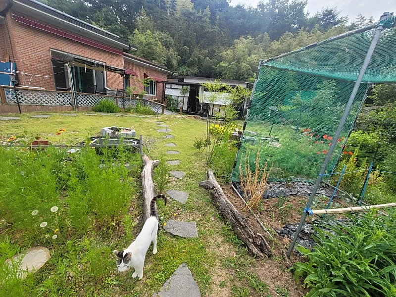 Sale of a Country House in Gakbuk-myeon, Cheongdo, Gyeongbuk: Due-South-Facing Brick House and Vegetable Garden photo 4