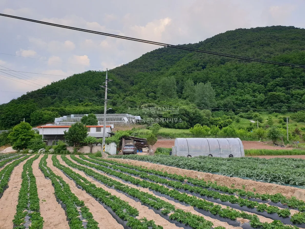 Remodelable Rural House and Expansive Farmland in Woncheon-ri, Dosan-myeon, Andong photo 10